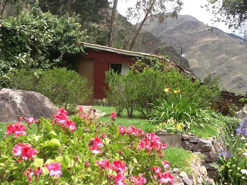 La Casa Del Conde Bed and Breakfast Pisac Εξωτερικό φωτογραφία
